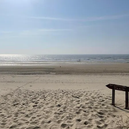 Sol 4*